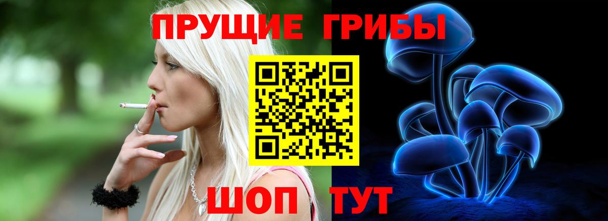 Псилоцибиновые грибы Psilocybe  Вход с VPN  Галлюциногенные грибы мицелий  Торжок 